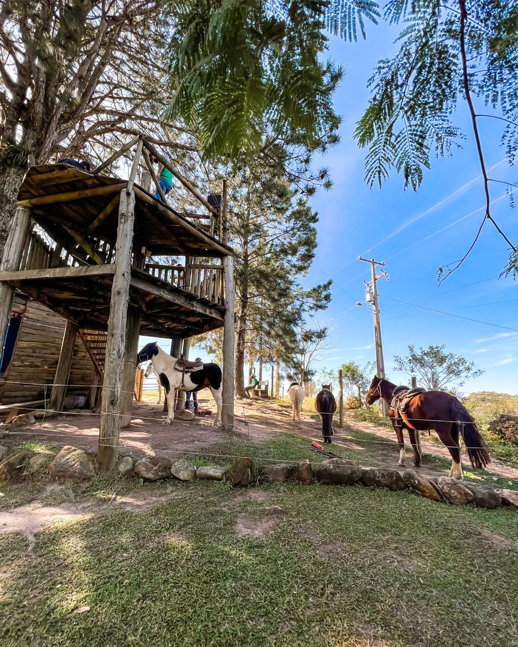 05c0746e-0fbd-432b-acd4-39584ac11fcd_inbound_3A659A2C7EFB612F02F1