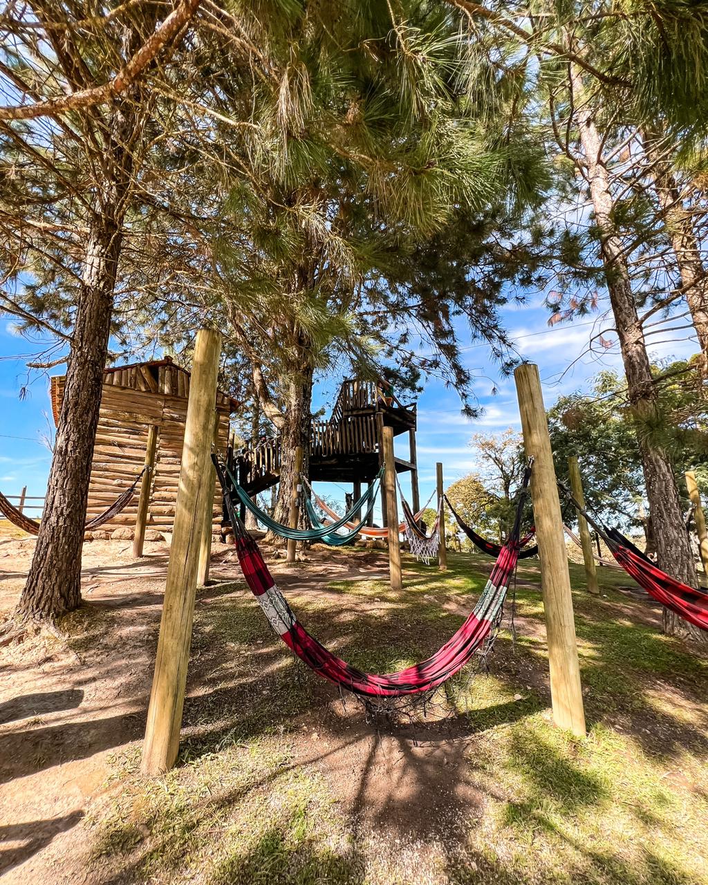 05c0746e-0fbd-432b-acd4-39584ac11fcd_inbound_3AA3EA19FF00B6772088