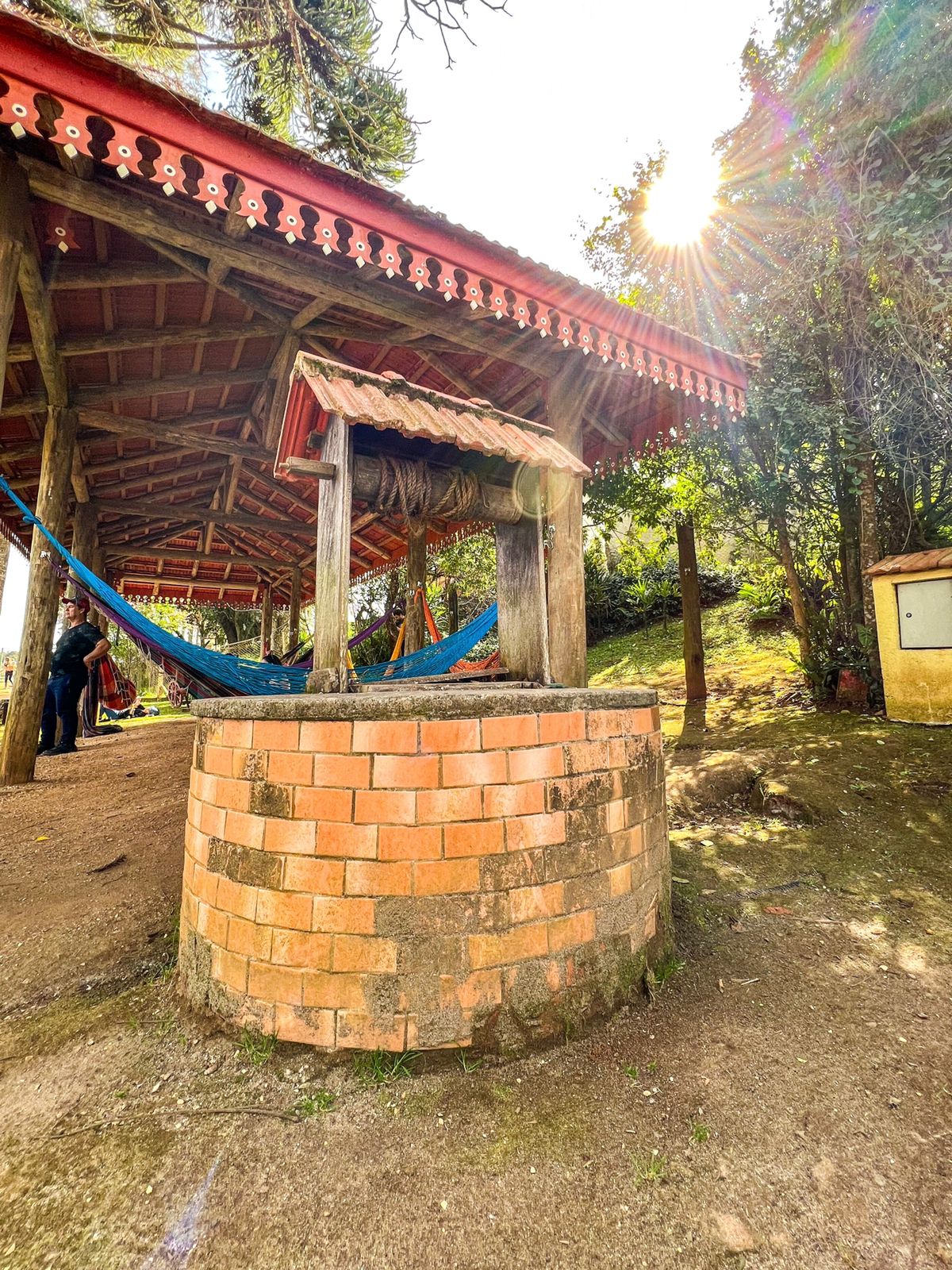 WhatsApp Image 2022-07-26 at 07.57.21 (3)