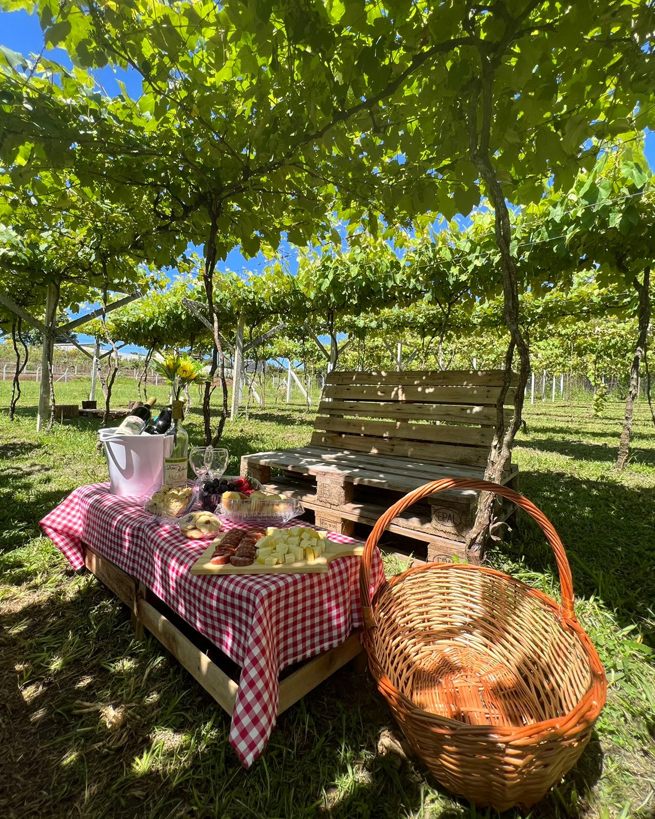 WhatsApp Image 2022-11-25 at 12.50.11 (1)